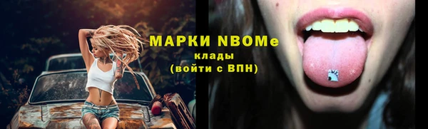 стаф Семикаракорск