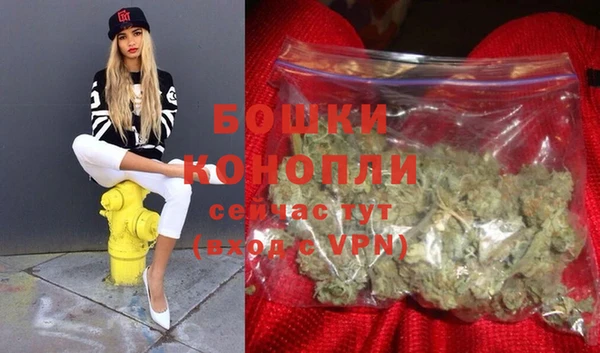 ГАЛЛЮЦИНОГЕННЫЕ ГРИБЫ Семёнов