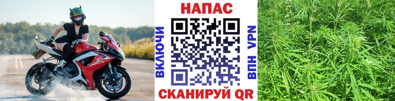 Конопля MAZAR  Купить где  Верхняя Пышма 